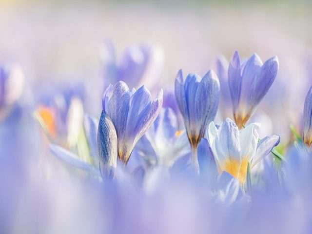 Sposób na&nbsp;gładkie dłonie na&nbsp;wiosnę – jak zregenerować skórę po&nbsp;zimie?